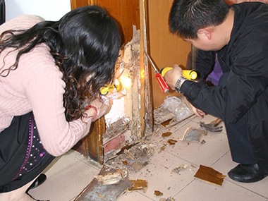 塘廈白蟻防治公司除掉白蟻一次需要多長時(shí)間