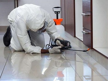 東城白蟻防治中心在疫情防控期該如何做好白蟻消殺