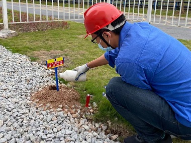 東莞紅火蟻滅治站——什么是紅火蟻？紅火蟻的危害