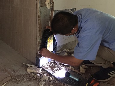 虎門(mén)白蟻備案站：防治白蟻有三個(gè)步驟來(lái)防備