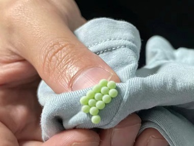 麻涌蟲(chóng)害消殺公司怎么滅除床上的臭蟲(chóng)